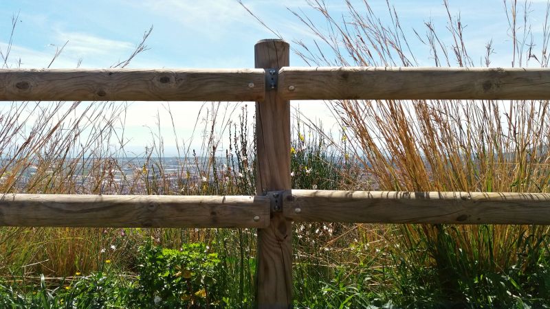 Scalloped Fence Installation in Roseville, CA
